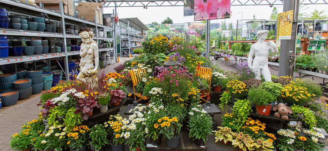 OBI Deko-Abteilung Buchholz