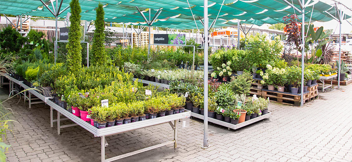 OBI Gartencenter Greifswald