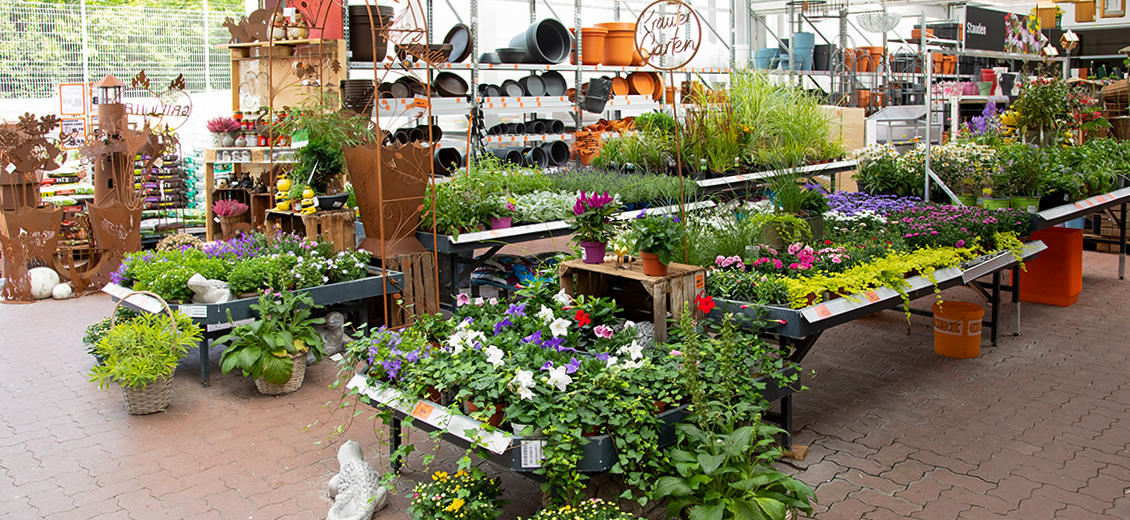 OBI Gartencenter Güstrow