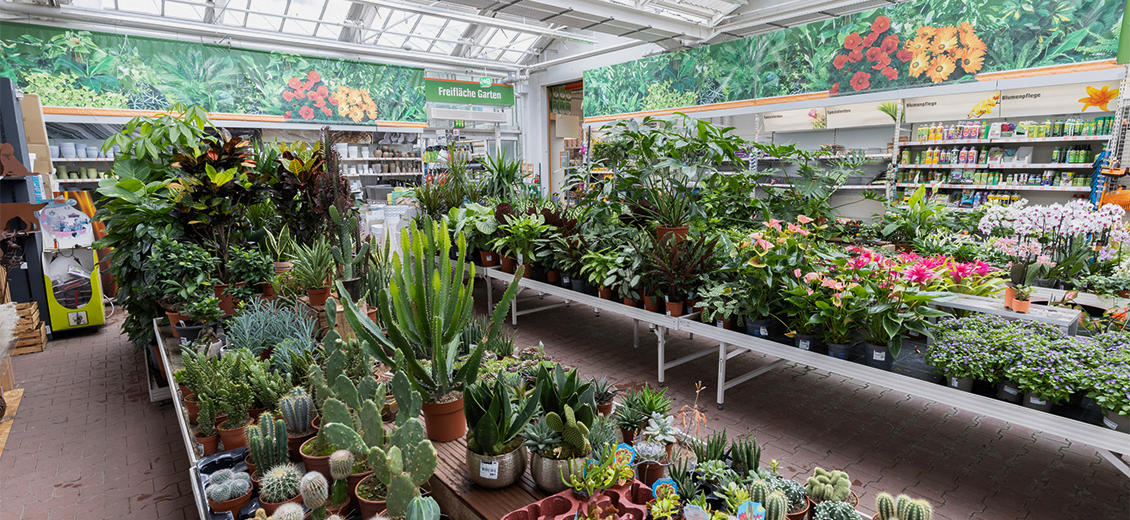 OBI Gartencenter Vechta