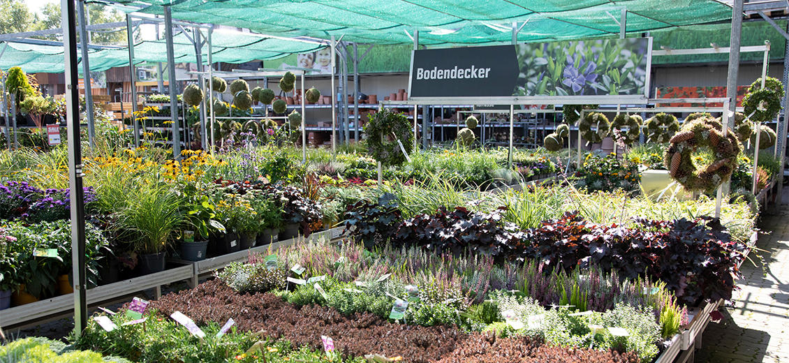 OBI Gartencenter Wittenberg