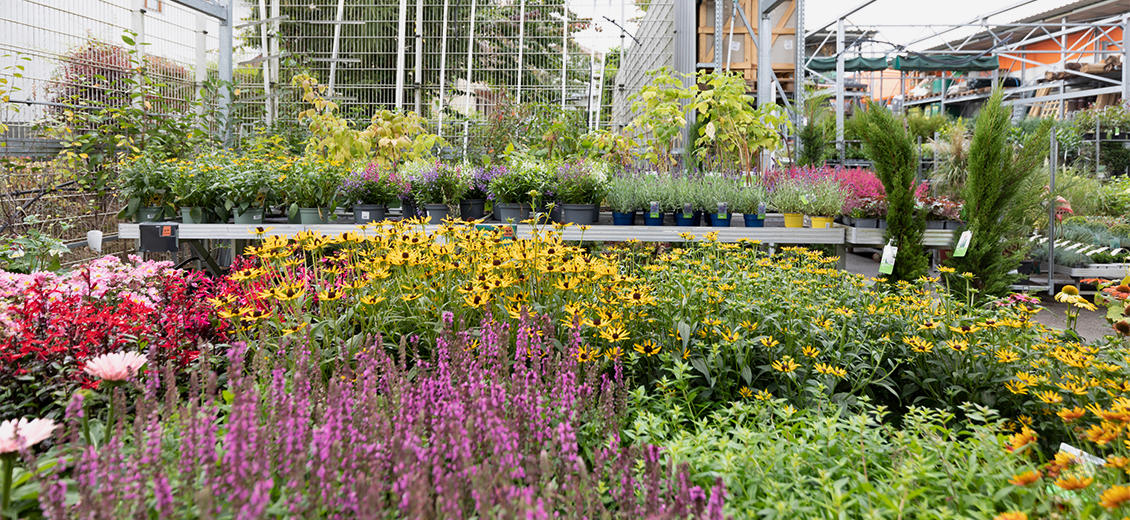 OBI Gartencenter Freistadt
