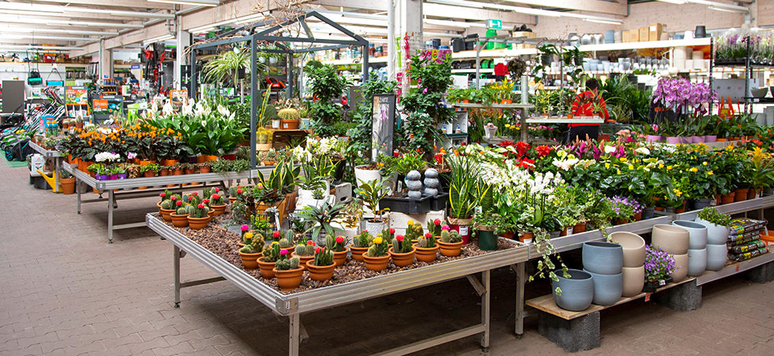 OBI Gartencenter Bannewitz bei Dresden