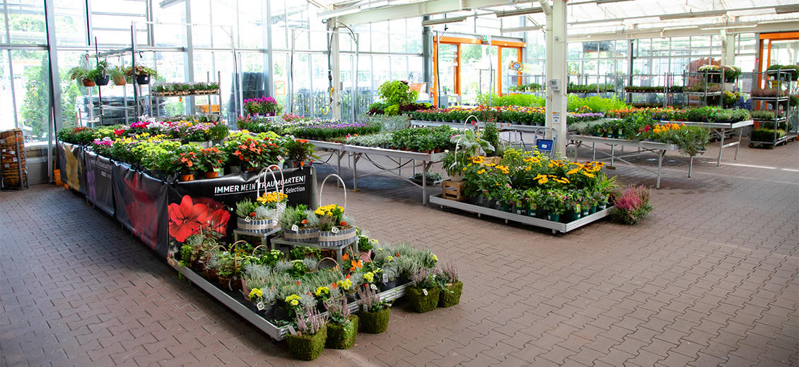 OBI Gartencenter Meißen