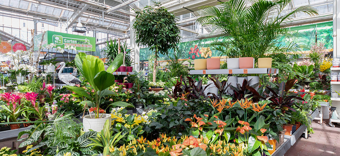 OBI Gartencenter Friedrichshafen