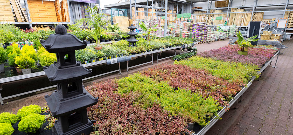 OBI Gartencenter Sinzig