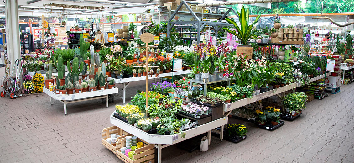 OBI Gartencenter Zschopau