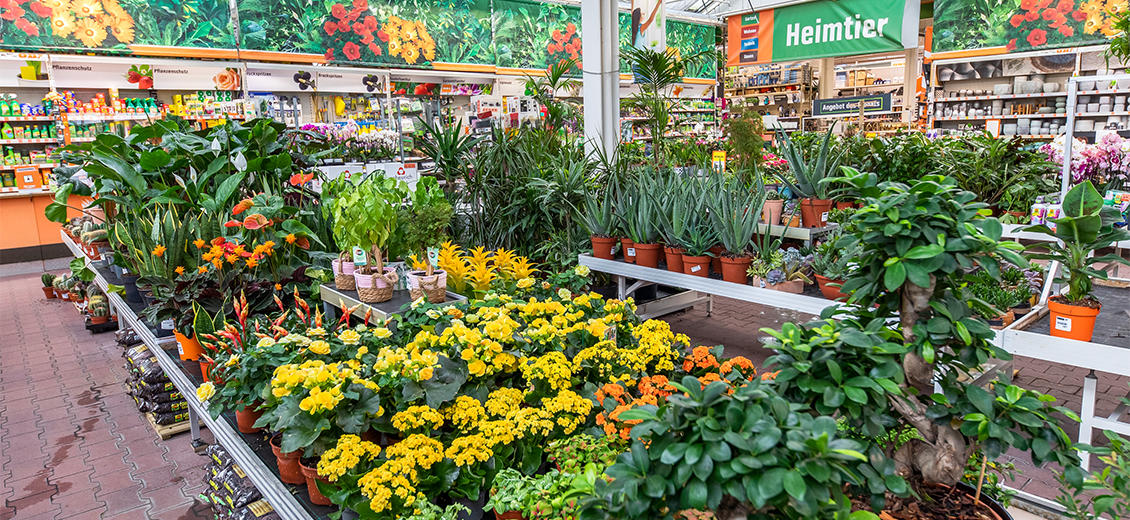 OBI Gartencenter Kamp Lintfort