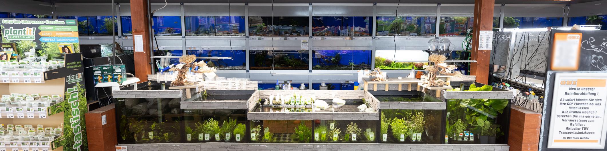 Aquaristik und Tierbedarf Hannover-Linden